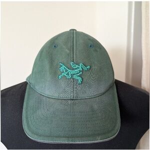 Vintage Arcteryx Fitted Hat